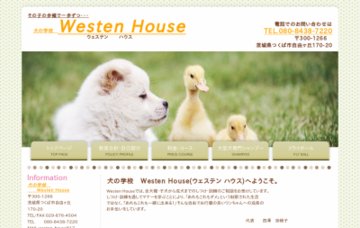 犬の学校　Westen House(ウェステン　ハウス)